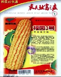 ũ���¸�֮��
